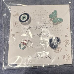 Alex and Ani positive vibes pin set